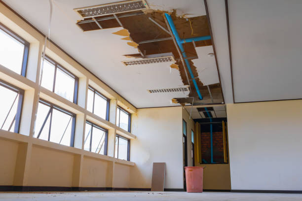 Best Water damage cleanup near me  in Lawrence, NY