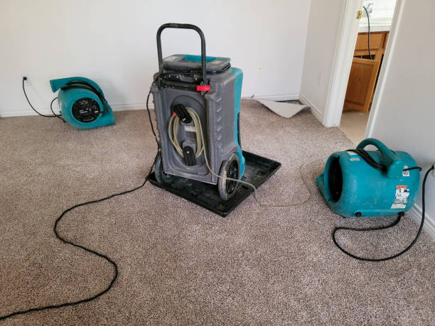 Best Local water damage restoration  in Lawrence, NY