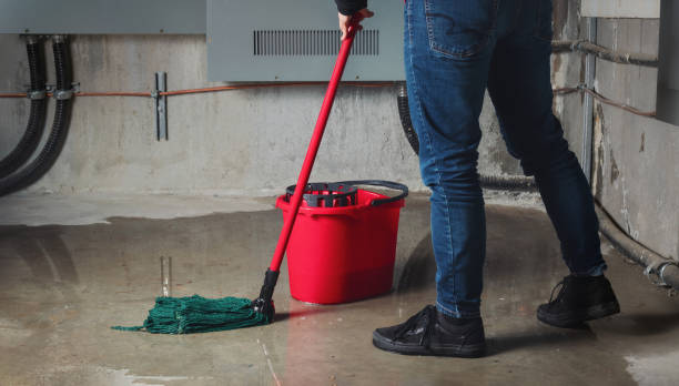 Best Flooded house restoration  in Lawrence, NY