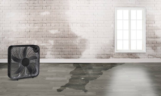 Professional Water damage restoration in Lawrence, NY