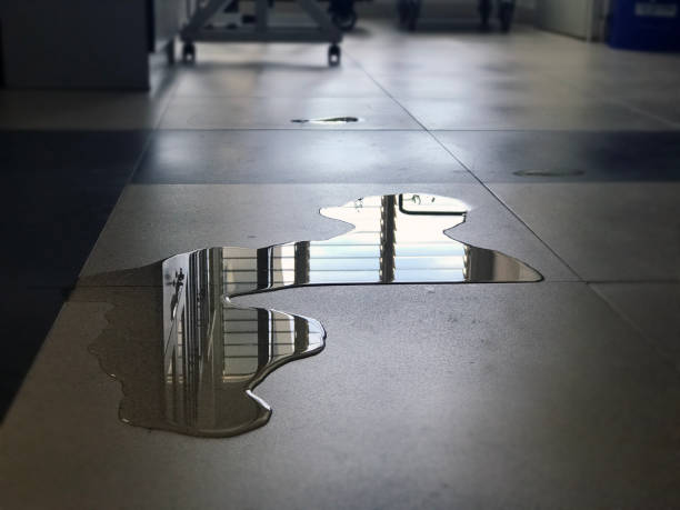 Best Water damage restoration near me  in Lawrence, NY