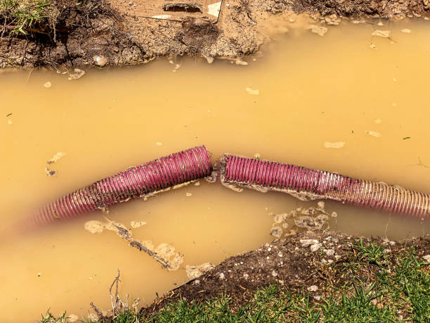 Best Flood damage cleanup  in Lawrence, NY