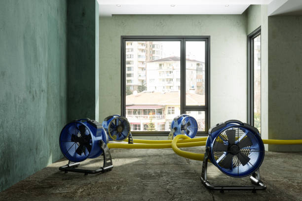 Best Sewage cleanup and water damage restoration  in Lawrence, NY